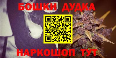 МДПВ Заводоуковск