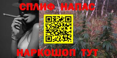 МДПВ Заводоуковск